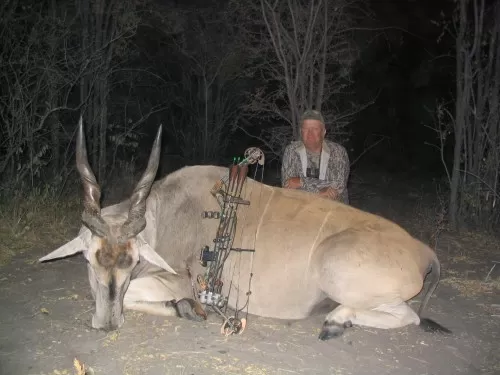 38 inch Eland Bull