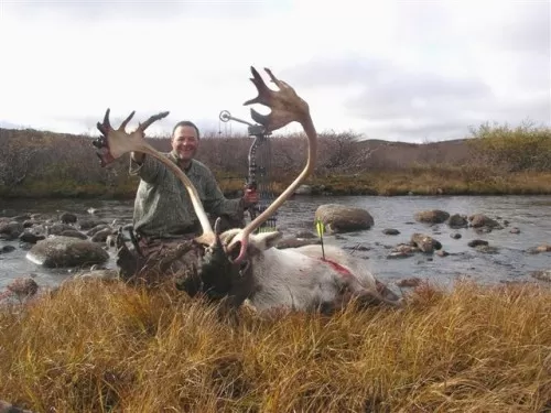 Big Quebeck Bull