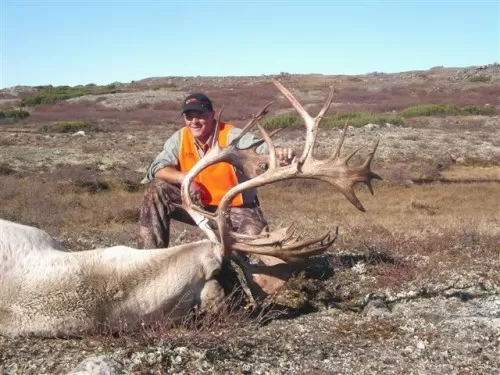 Quebec Caribou 2006